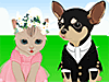 Pet Wedding Dress Up